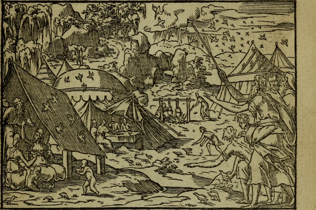 An illustration from Qvadrins historiqves de la Bible, 1558, leaf 114
