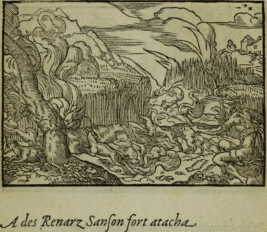 An illustration from Qvadrins historiqves de la Bible, 1558, leaf 162