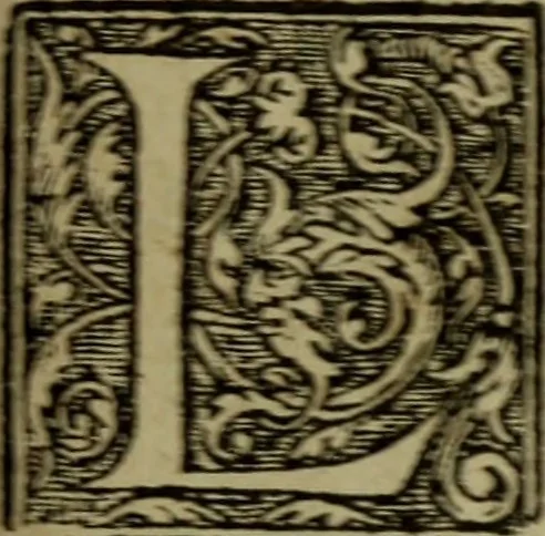 An illustration from Qvadrins historiqves de la Bible, 1558, leaf 208