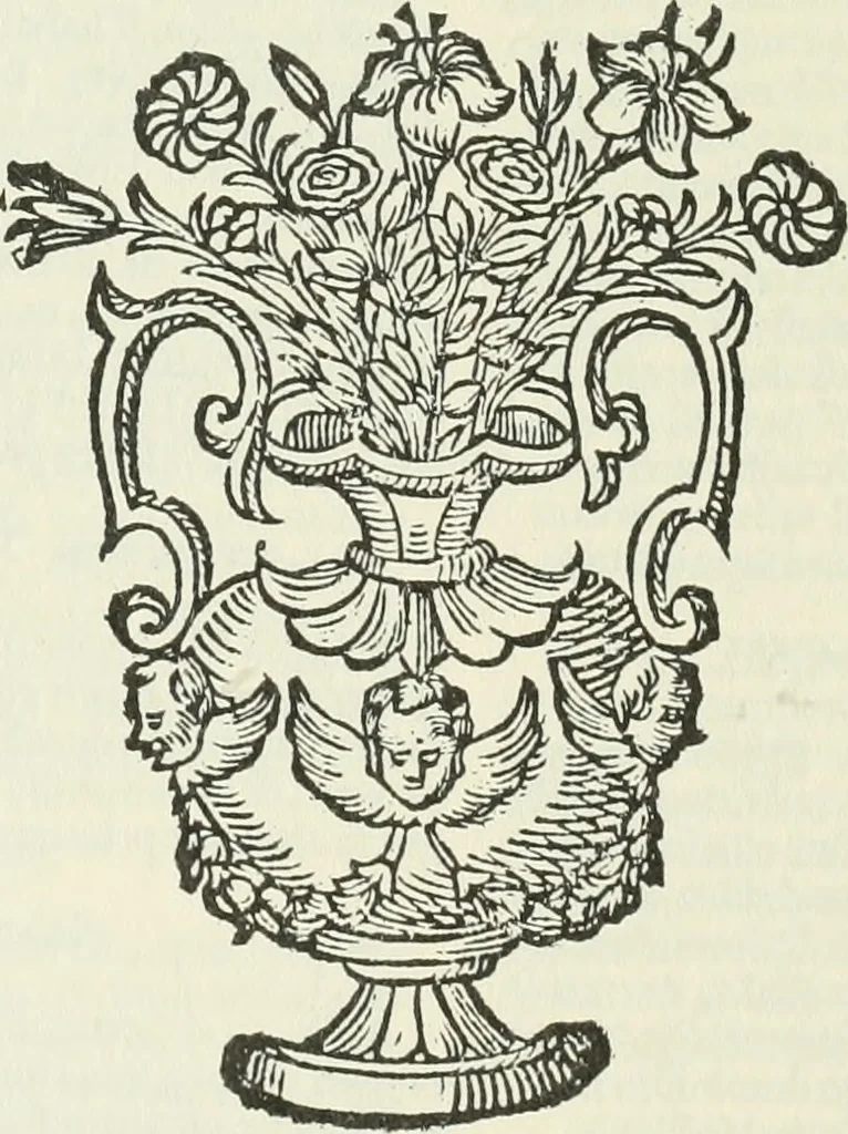 An illustration from Qvaestiones variae Parisiis dispvtatae solemnis doctoris F. Ioannis de Neapoli, 1618, leaf 437