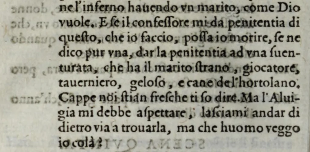 An illustration from Qvattro comedie del divino Pietro Aretino : cioè, Il marescalco, La cortegiana, La talanta, L'hipocrito, 1588, leaf 276