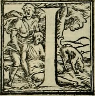An illustration from I qvattro libri dell'architettvra di Andrea Palladio : ne' quali, dopo un breue trattato de' cinque ordini, & di quelli auertimenti, che sono piu necessarij nel fabricare;, 1570, leaf 107