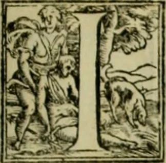 An illustration from I qvattro libri dell'architettvra di Andrea Palladio : ne' quali, dopo un breue trattato de' cinque ordini, & di quelli auertimenti, che sono piu necessarij nel fabricare;, 1570, leaf 114