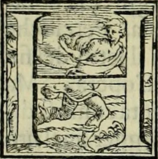 An illustration from I qvattro libri dell'architettvra di Andrea Palladio : ne' quali, dopo un breue trattato de' cinque ordini, & di quelli auertimenti, che sono piu necessarij nel fabricare;, 1570, leaf 163