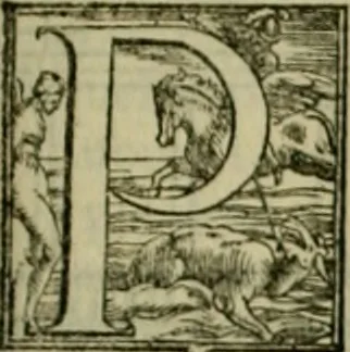 An illustration from I qvattro libri dell'architettvra di Andrea Palladio : ne' quali, dopo un breue trattato de' cinque ordini, & di quelli auertimenti, che sono piu necessarij nel fabricare;, 1570, leaf 170
