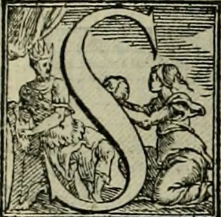 An illustration from I qvattro libri dell'architettvra di Andrea Palladio : ne' quali, dopo un breue trattato de' cinque ordini, & di quelli auertimenti, che sono piu necessarij nel fabricare;, 1570, leaf 189