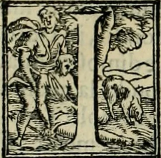 An illustration from I qvattro libri dell'architettvra di Andrea Palladio : ne' quali, dopo un breue trattato de' cinque ordini, & di quelli auertimenti, che sono piu necessarij nel fabricare;, 1570, leaf 205