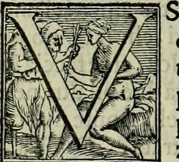 An illustration from I qvattro libri dell'architettvra di Andrea Palladio : ne' quali, dopo un breue trattato de' cinque ordini, & di quelli auertimenti, che sono piu necessarij nel fabricare;, 1570, leaf 207