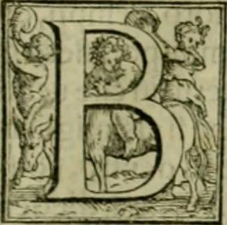 An illustration from I qvattro libri dell'architettvra di Andrea Palladio : ne' quali, dopo un breue trattato de' cinque ordini, & di quelli auertimenti, che sono piu necessarij nel fabricare;, 1570, leaf 208