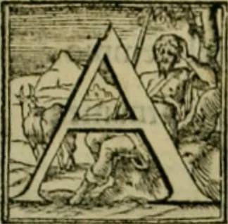 An illustration from I qvattro libri dell'architettvra di Andrea Palladio : ne' quali, dopo un breue trattato de' cinque ordini, & di quelli auertimenti, che sono piu necessarij nel fabricare;, 1570, leaf 214