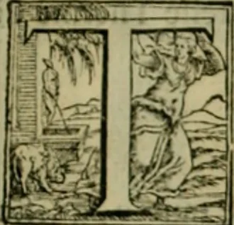 An illustration from I qvattro libri dell'architettvra di Andrea Palladio : ne' quali, dopo un breue trattato de' cinque ordini, & di quelli auertimenti, che sono piu necessarij nel fabricare;, 1570, leaf 272
