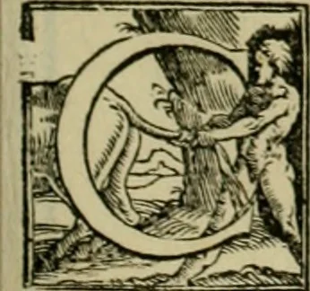 An illustration from I qvattro libri dell'architettvra di Andrea Palladio : ne' quali, dopo un breue trattato de' cinque ordini, & di quelli auertimenti, che sono piu necessarij nel fabricare;, 1570, leaf 58