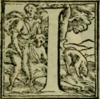 An illustration from I qvattro libri dell'architettvra di Andrea Palladio : ne' quali, dopo un breue trattato de' cinque ordini, & di quelli auertimenti, che sono piu necessarij nel fabricare;, 1570, leaf 6