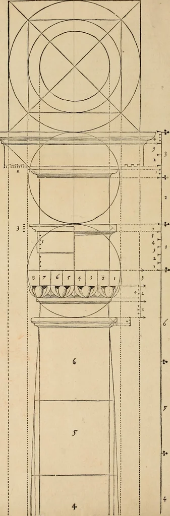 An illustration from Qvinqve colvmnarvm exacta descriptio atque deliniatio, cum symmetrica earum distributione, 1550, leaf 13