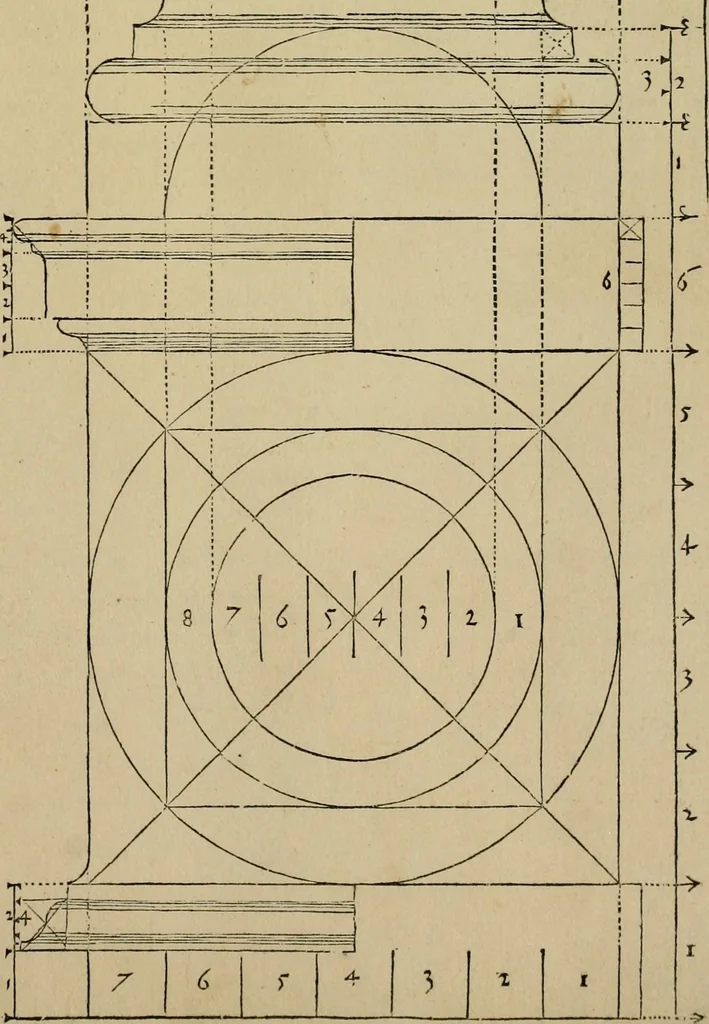 An illustration from Qvinqve colvmnarvm exacta descriptio atque deliniatio, cum symmetrica earum distributione, 1550, leaf 14