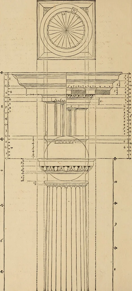An illustration from Qvinqve colvmnarvm exacta descriptio atque deliniatio, cum symmetrica earum distributione, 1550, leaf 17