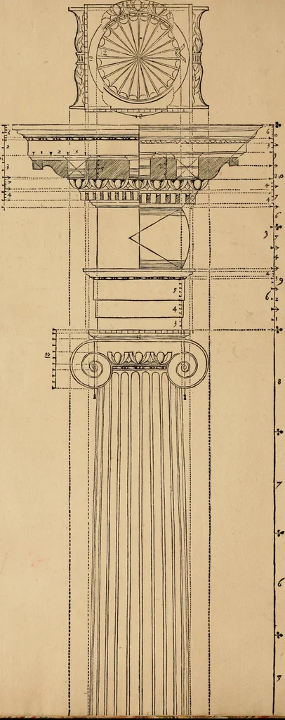 An illustration from Qvinqve colvmnarvm exacta descriptio atque deliniatio, cum symmetrica earum distributione, 1550, leaf 25