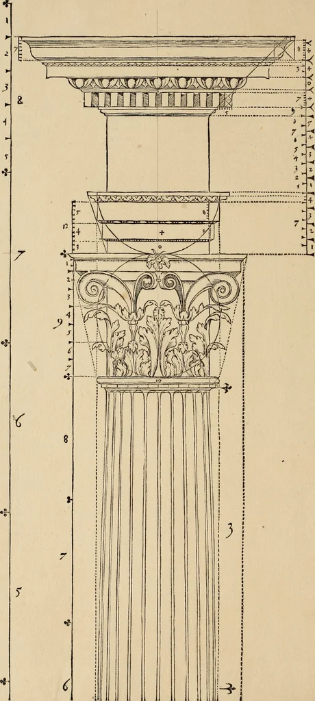 An illustration from Qvinqve colvmnarvm exacta descriptio atque deliniatio, cum symmetrica earum distributione, 1550, leaf 29