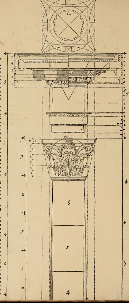 An illustration from Qvinqve colvmnarvm exacta descriptio atque deliniatio, cum symmetrica earum distributione, 1550, leaf 33