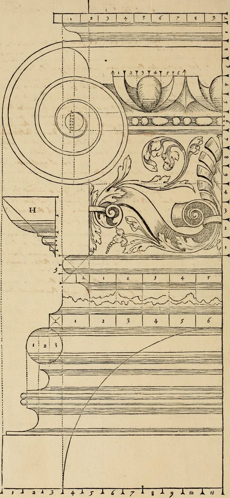 An illustration from Qvinqve colvmnarvm exacta descriptio atque deliniatio, cum symmetrica earum distributione, 1550, leaf 41