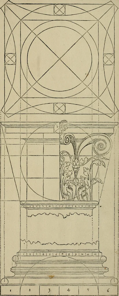 An illustration from Qvinqve colvmnarvm exacta descriptio atque deliniatio, cum symmetrica earum distributione, 1550, leaf 42