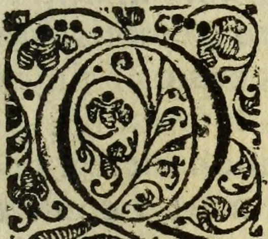 An illustration from Rabdologiae, 1617, leaf 106