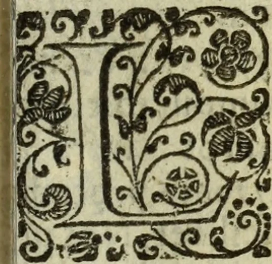An illustration from Rabdologiae, 1617, leaf 136