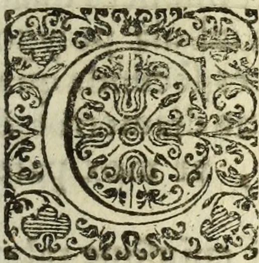 An illustration from Rabdologiae, 1617, leaf 58