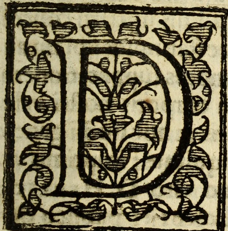 An illustration from Rabdologiae, 1617, leaf 6