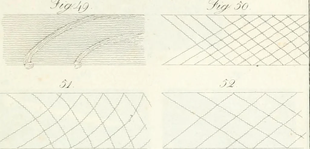 An illustration from Raccolta d'autori italiani che trattano del moto dell' acque, 1821, leaf 500