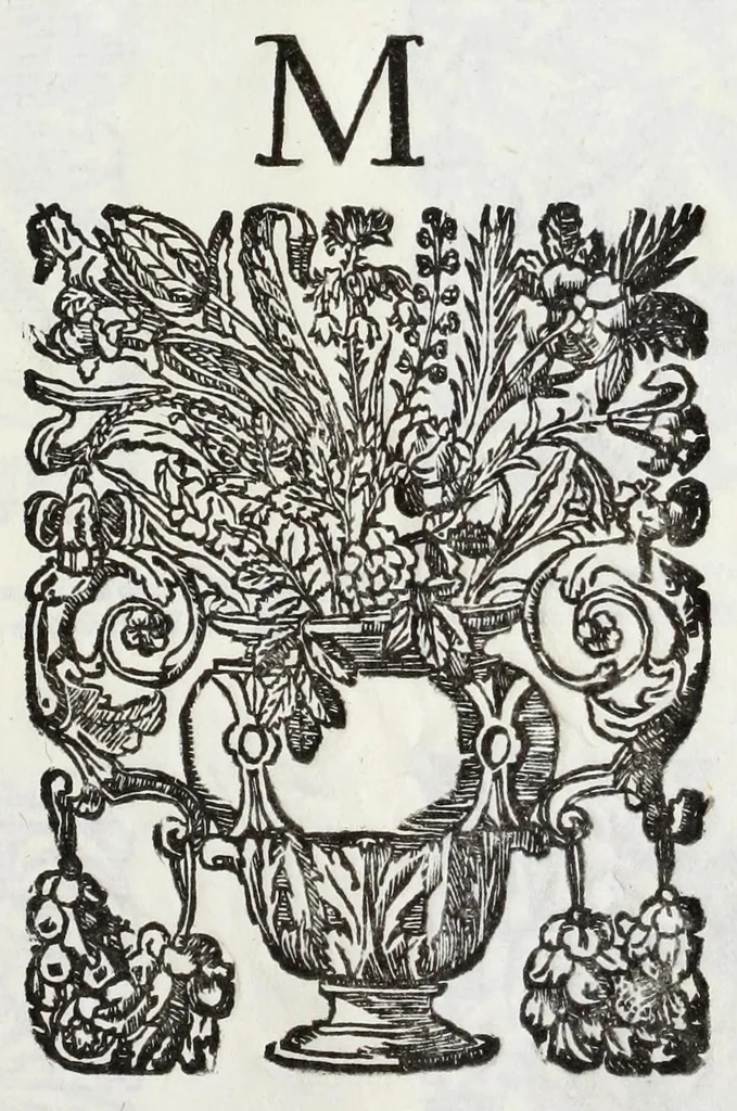 An illustration from Raccolta dell' armi antiche e moderne de nobili ferraresi : con l'origine loro sin hora trouate, 1689, leaf 111