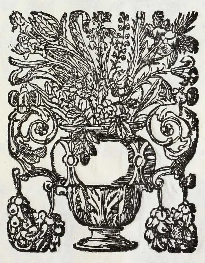 An illustration from Raccolta dell' armi antiche e moderne de nobili ferraresi : con l'origine loro sin hora trouate, 1689, leaf 165