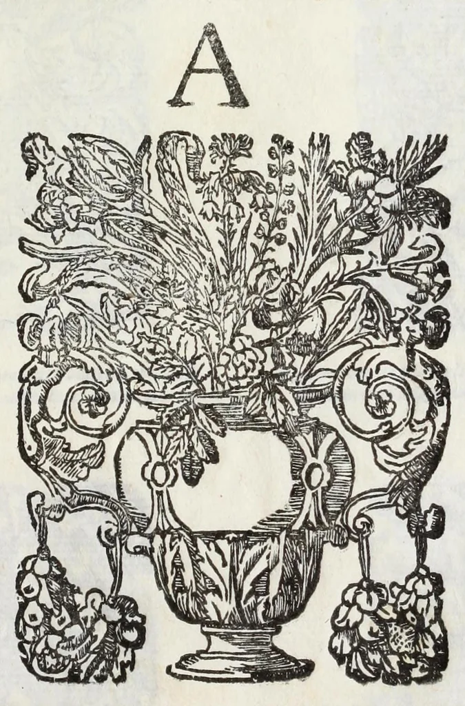 An illustration from Raccolta dell' armi antiche e moderne de nobili ferraresi : con l'origine loro sin hora trouate, 1689, leaf 5
