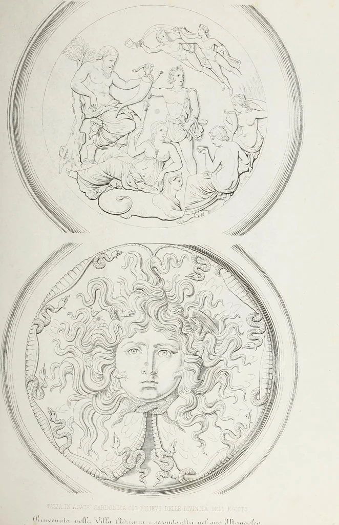 An illustration from Raccolta de' piu belli ed interessanti dipinti, musaici ed altri monumenti rinvenuti negli scavi di Ercolano, di Pompei, e di Stabia, che ammiransi nel Museo nazionale.., 1876, leaf 108