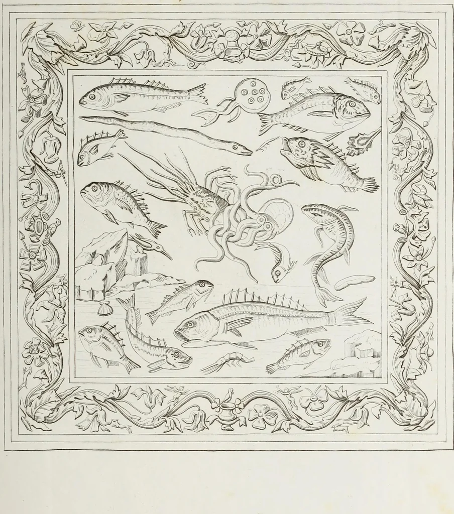 An illustration from Raccolta de' piu belli ed interessanti dipinti, musaici ed altri monumenti rinvenuti negli scavi di Ercolano, di Pompei, e di Stabia, che ammiransi nel Museo nazionale.., 1876, leaf 144