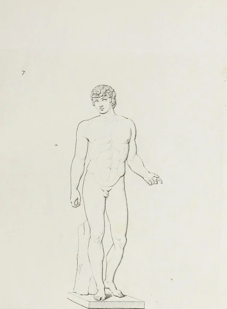An illustration from Raccolta de' piu belli ed interessanti dipinti, musaici ed altri monumenti rinvenuti negli scavi di Ercolano, di Pompei, e di Stabia, che ammiransi nel Museo nazionale.., 1876, leaf 20