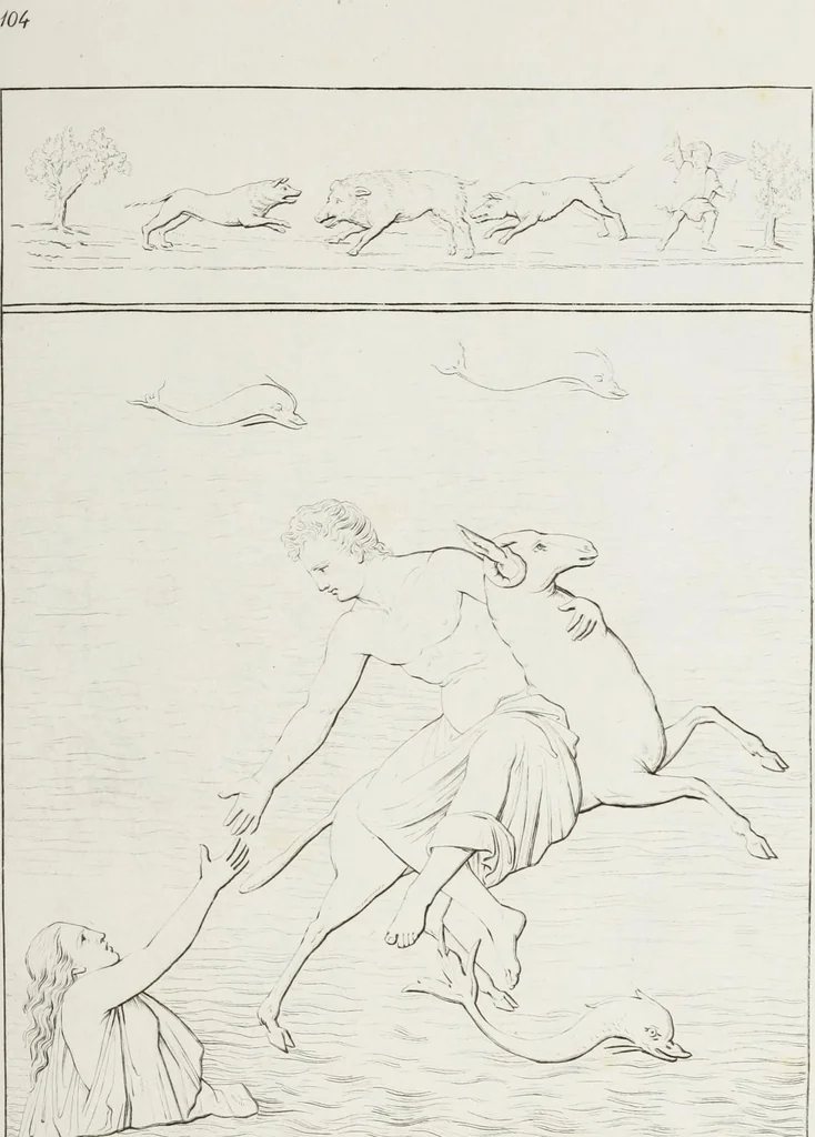 An illustration from Raccolta de' piu belli ed interessanti dipinti, musaici ed altri monumenti rinvenuti negli scavi di Ercolano, di Pompei, e di Stabia, che ammiransi nel Museo nazionale.., 1876, leaf 214