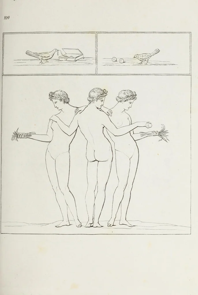 An illustration from Raccolta de' piu belli ed interessanti dipinti, musaici ed altri monumenti rinvenuti negli scavi di Ercolano, di Pompei, e di Stabia, che ammiransi nel Museo nazionale.., 1876, leaf 224