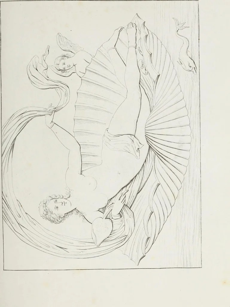 An illustration from Raccolta de' piu belli ed interessanti dipinti, musaici ed altri monumenti rinvenuti negli scavi di Ercolano, di Pompei, e di Stabia, che ammiransi nel Museo nazionale.., 1876, leaf 240