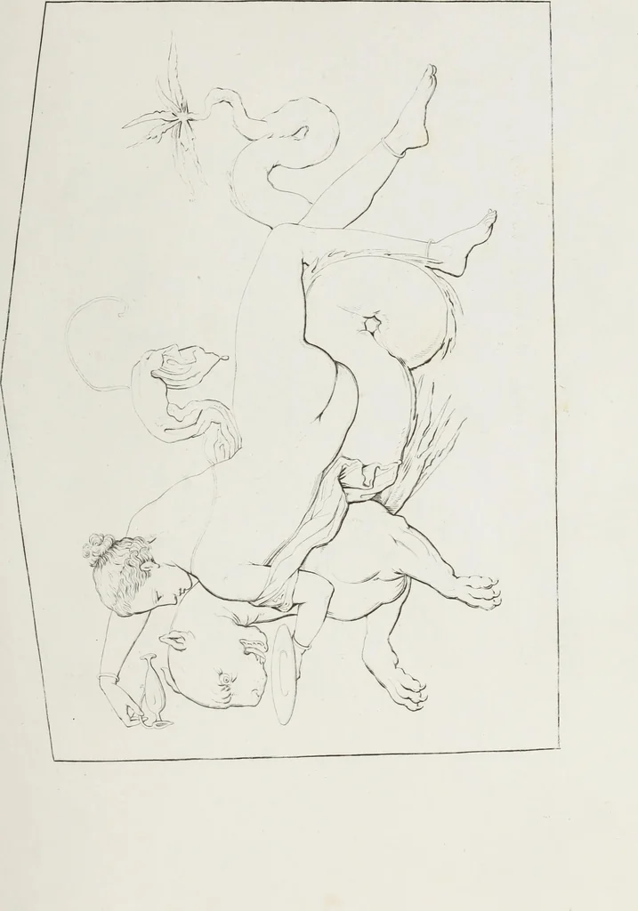 An illustration from Raccolta de' piu belli ed interessanti dipinti, musaici ed altri monumenti rinvenuti negli scavi di Ercolano, di Pompei, e di Stabia, che ammiransi nel Museo nazionale.., 1876, leaf 242