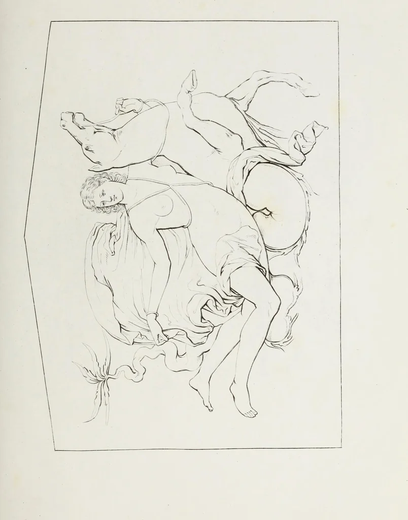 An illustration from Raccolta de' piu belli ed interessanti dipinti, musaici ed altri monumenti rinvenuti negli scavi di Ercolano, di Pompei, e di Stabia, che ammiransi nel Museo nazionale.., 1876, leaf 244