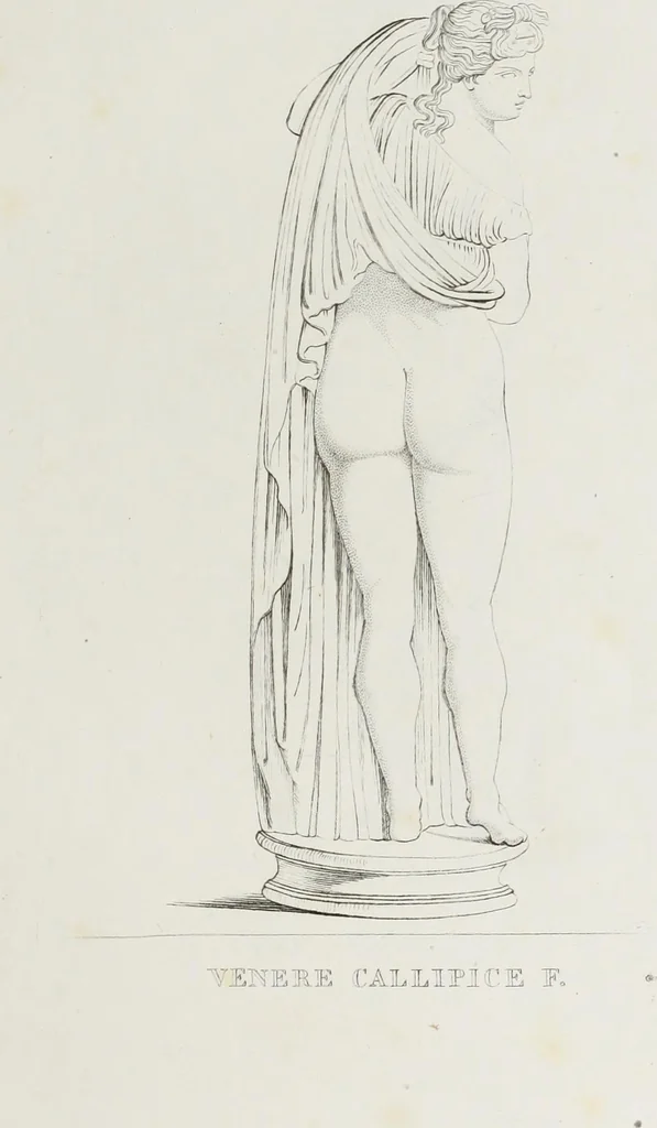 An illustration from Raccolta de' piu belli ed interessanti dipinti, musaici ed altri monumenti rinvenuti negli scavi di Ercolano, di Pompei, e di Stabia, che ammiransi nel Museo nazionale.., 1876, leaf 26