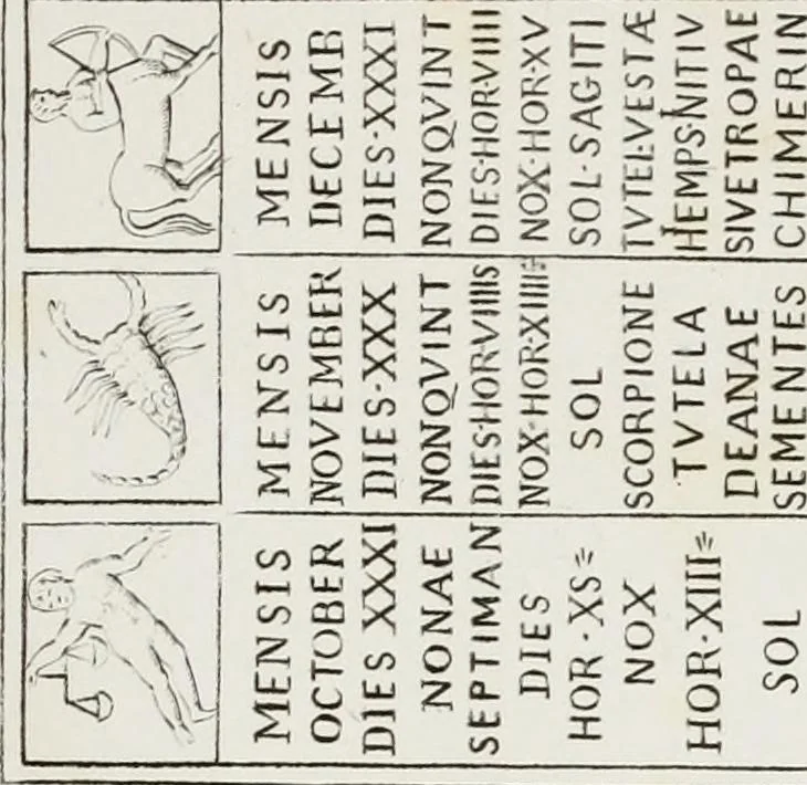 An illustration from Raccolta de' piu belli ed interessanti dipinti, musaici ed altri monumenti rinvenuti negli scavi di Ercolano, di Pompei, e di Stabia, che ammiransi nel Museo nazionale.., 1876, leaf 50