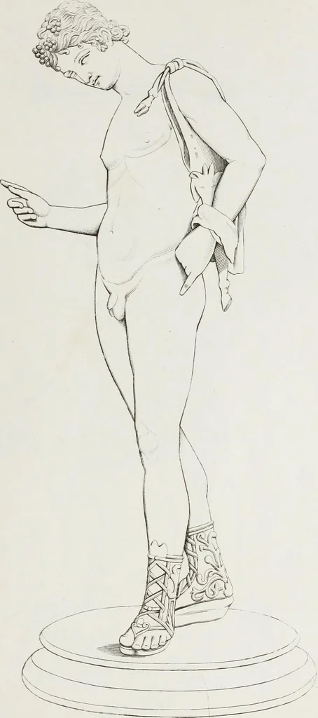 An illustration from Raccolta de' piu belli ed interessanti dipinti, musaici ed altri monumenti rinvenuti negli scavi di Ercolano, di Pompei, e di Stabia, che ammiransi nel Museo nazionale.., 1876, leaf 64