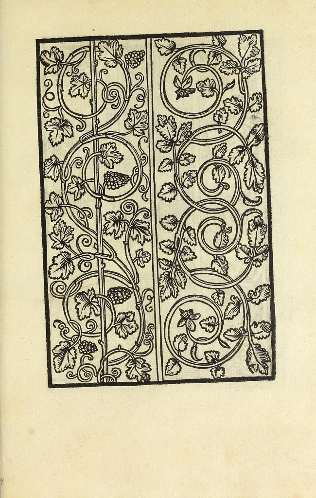 An illustration from Raccolta de tvtti i ritratti & disegni di ricchami : che in Alemagna, in Frãcia, & in Italia si sono trouati, con piu altri aggionti, & nuouamente stampati, 1532, leaf 43