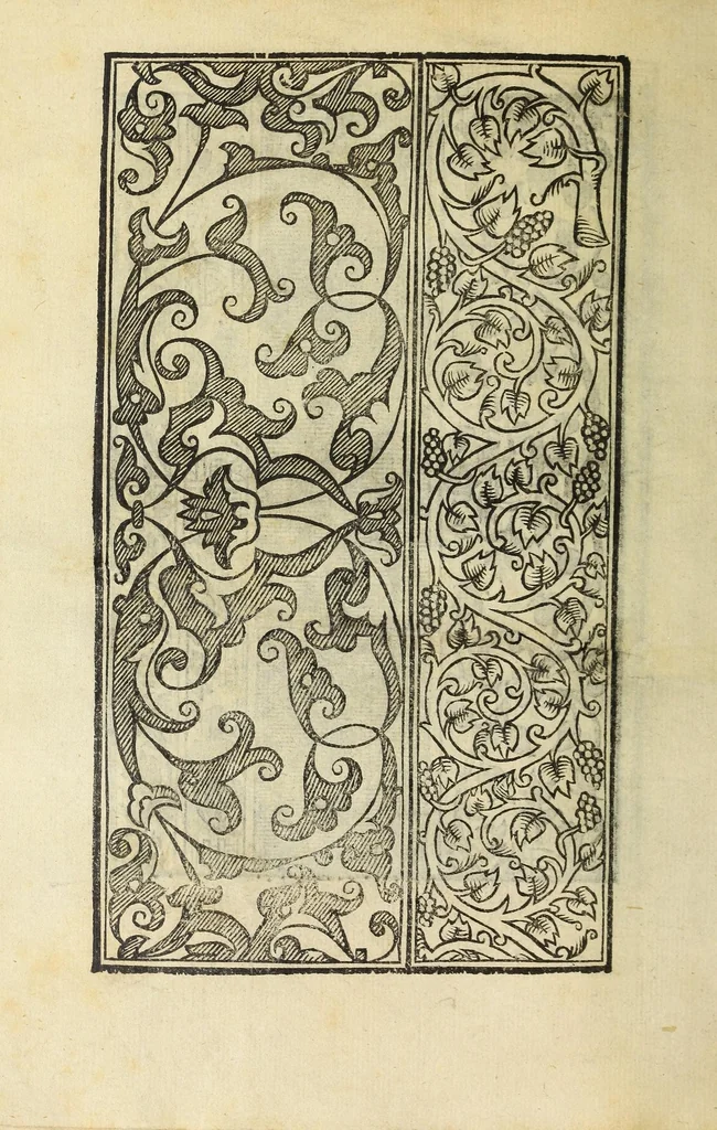 An illustration from Raccolta de tvtti i ritratti & disegni di ricchami : che in Alemagna, in Frãcia, & in Italia si sono trouati, con piu altri aggionti, & nuouamente stampati, 1532, leaf 46