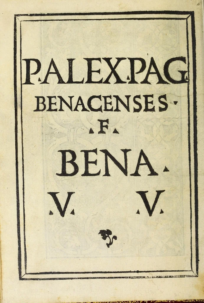 An illustration from Raccolta de tvtti i ritratti & disegni di ricchami : che in Alemagna, in Frãcia, & in Italia si sono trouati, con piu altri aggionti, & nuouamente stampati, 1532, leaf 50
