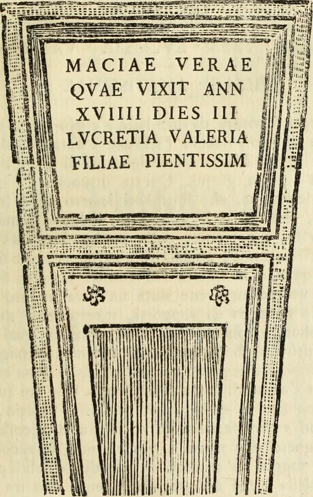 An illustration from Raccolta di diverse antiche inscrizioni e medaglie epitalamiche : ritrovate negli stati di S.S.R.M. il Re di Sardegna : e due dissertazioni sopra un antico turibolo, e campanello, 1781, leaf 48