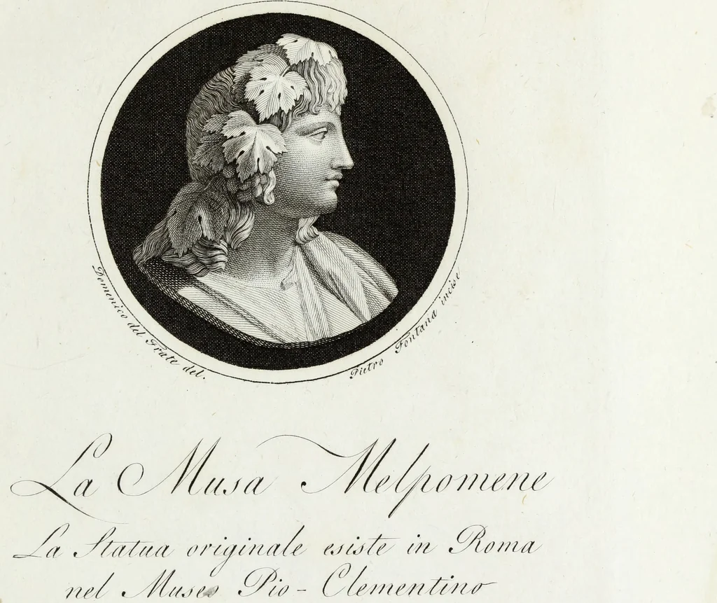 An illustration from Raccolta di dodici busti cavati dalle antiche statue originali : e sono l'Apollo citaredo colle muse, e l'Apollo detto di Belvedere, queste si ammirano nel Museo Pio-Clementino, la Venere de Medici, nel Museo ducale in Firenze, 1794, leaf 12