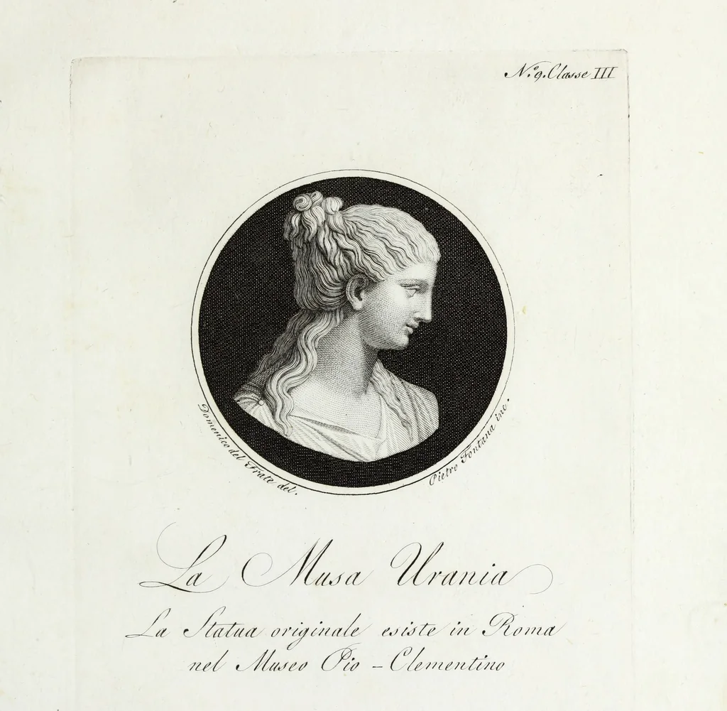 An illustration from Raccolta di dodici busti cavati dalle antiche statue originali : e sono l'Apollo citaredo colle muse, e l'Apollo detto di Belvedere, queste si ammirano nel Museo Pio-Clementino, la Venere de Medici, nel Museo ducale in Firenze, 1794, leaf 22